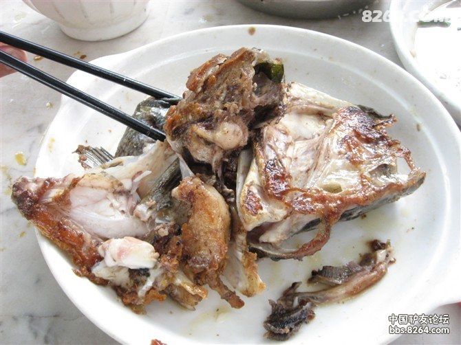 花都福源水库休闲徒步、露营、钓鱼、网鱼、烧