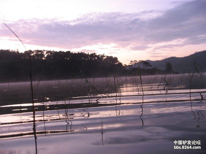花都福源水库休闲徒步、露营、钓鱼、网鱼、烧