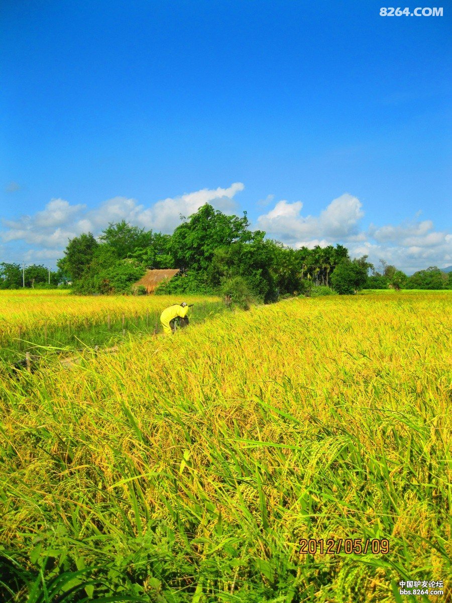 2012_04_26谷歌单车海南岛(每天不到40公里