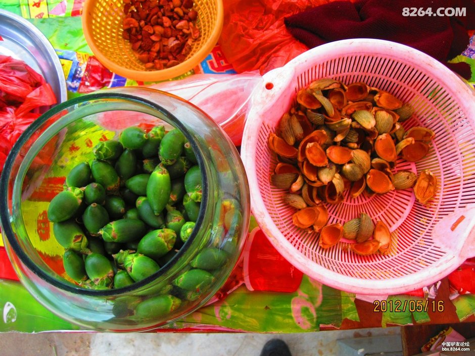 2012_04_26谷歌单车海南岛(每天不到40公里