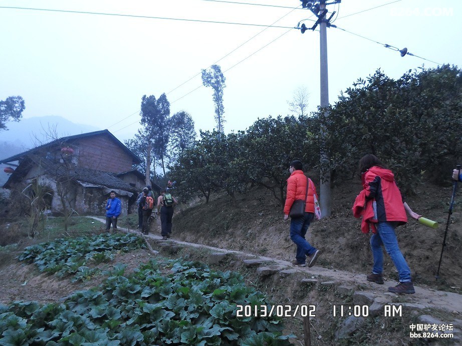 [北碚歇马]2月2日本周六休闲慢摇歇马缙云山薄