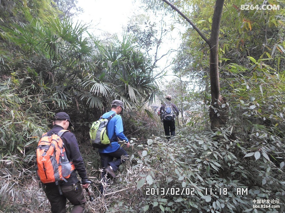 [北碚歇马]2月2日本周六休闲慢摇歇马缙云山薄