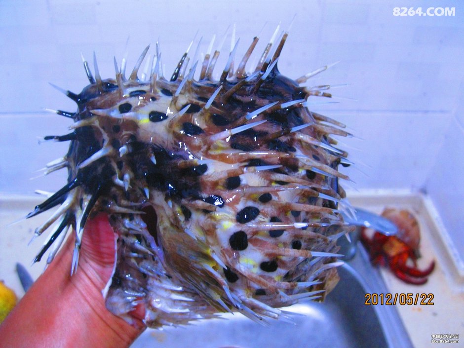 2012_04_26谷歌单车海南岛(每天不到40公里