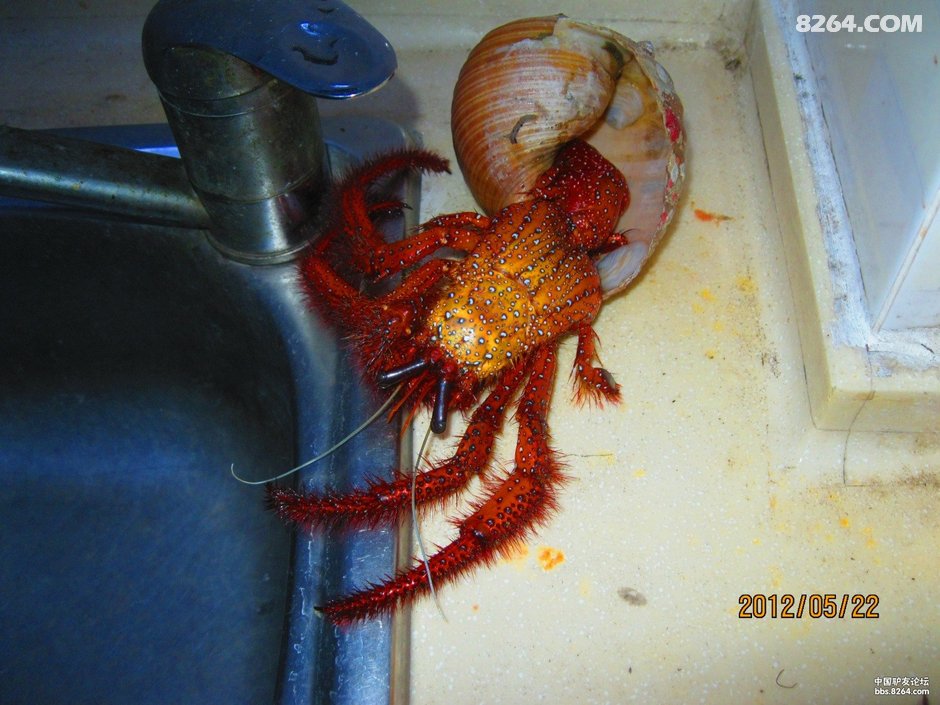 2012_04_26谷歌单车海南岛(每天不到40公里