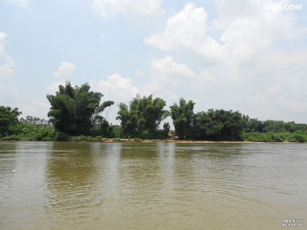 广东 - 8264手机触屏版