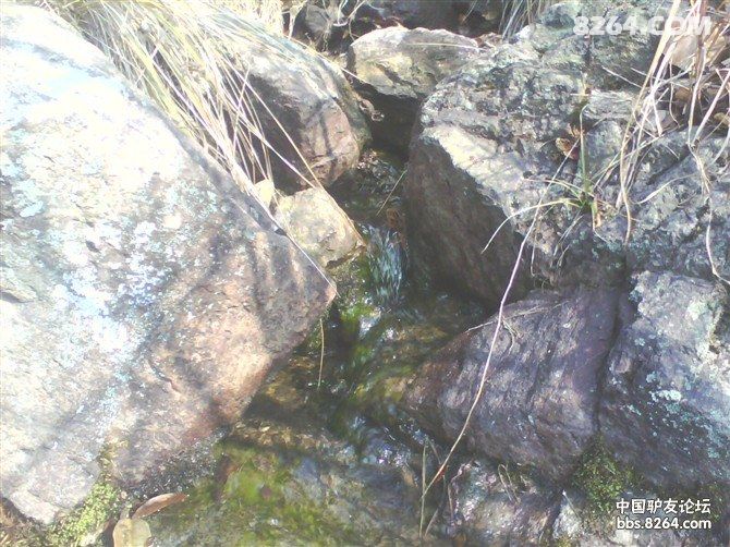 舟山群岛新区-金塘岛仙人山一日游[舟山] - 浙江