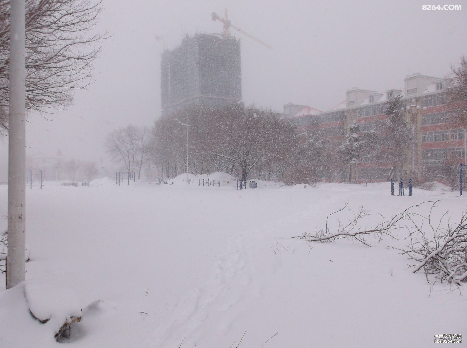 2013.04.14号黑河江边踏雪 - 第1页