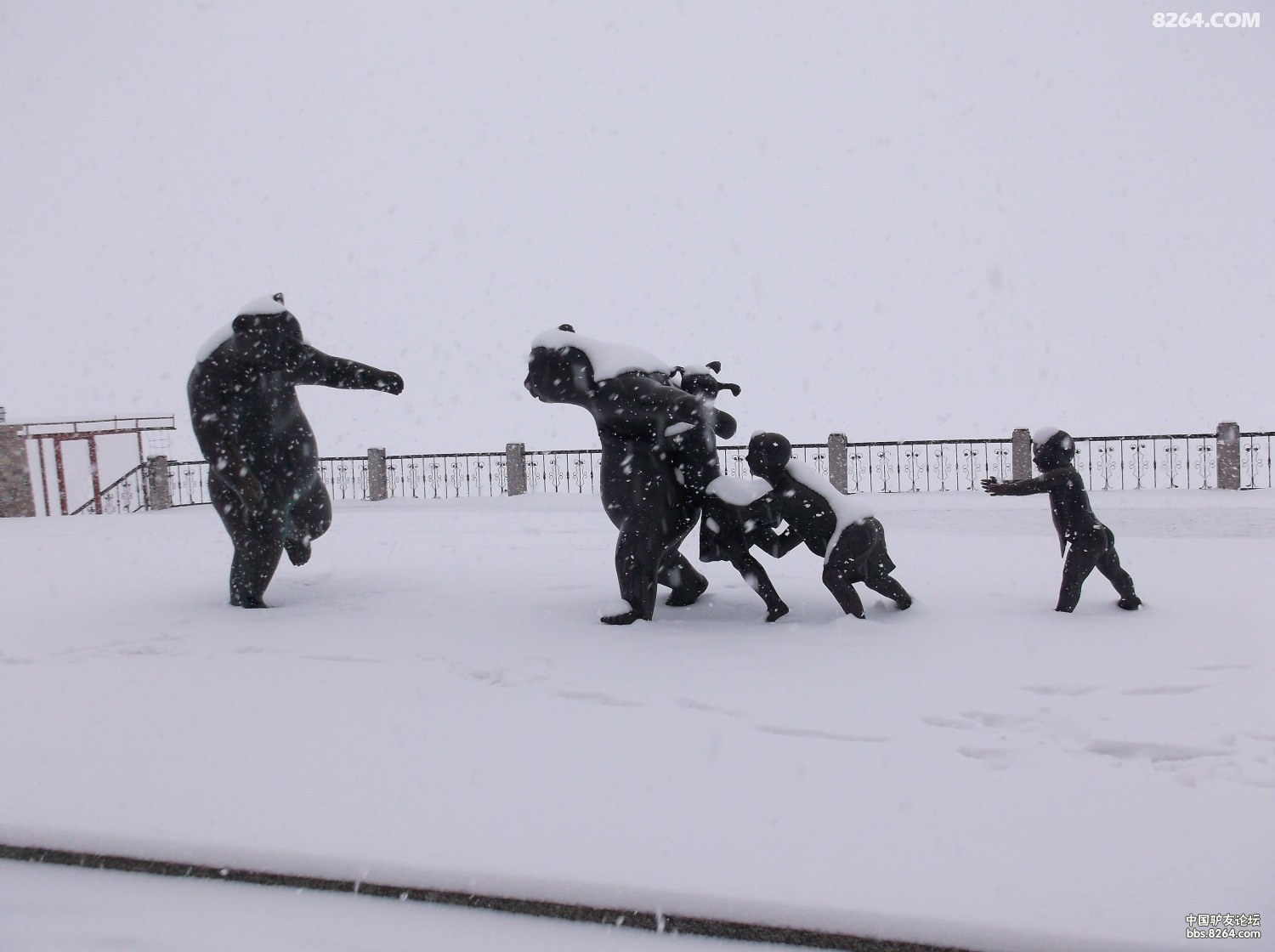 2013.04.14号黑河江边踏雪 - 第1页
