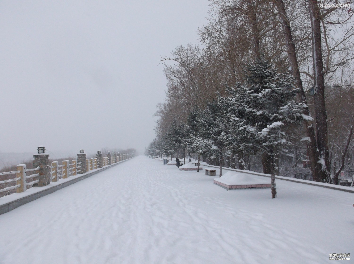 2013.04.14号黑河江边踏雪 - 第1页