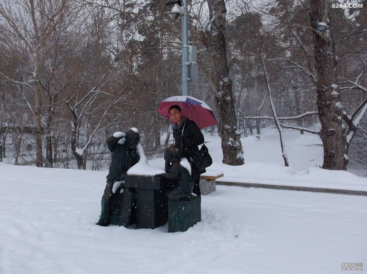 2013.04.14号黑河江边踏雪 - 第1页
