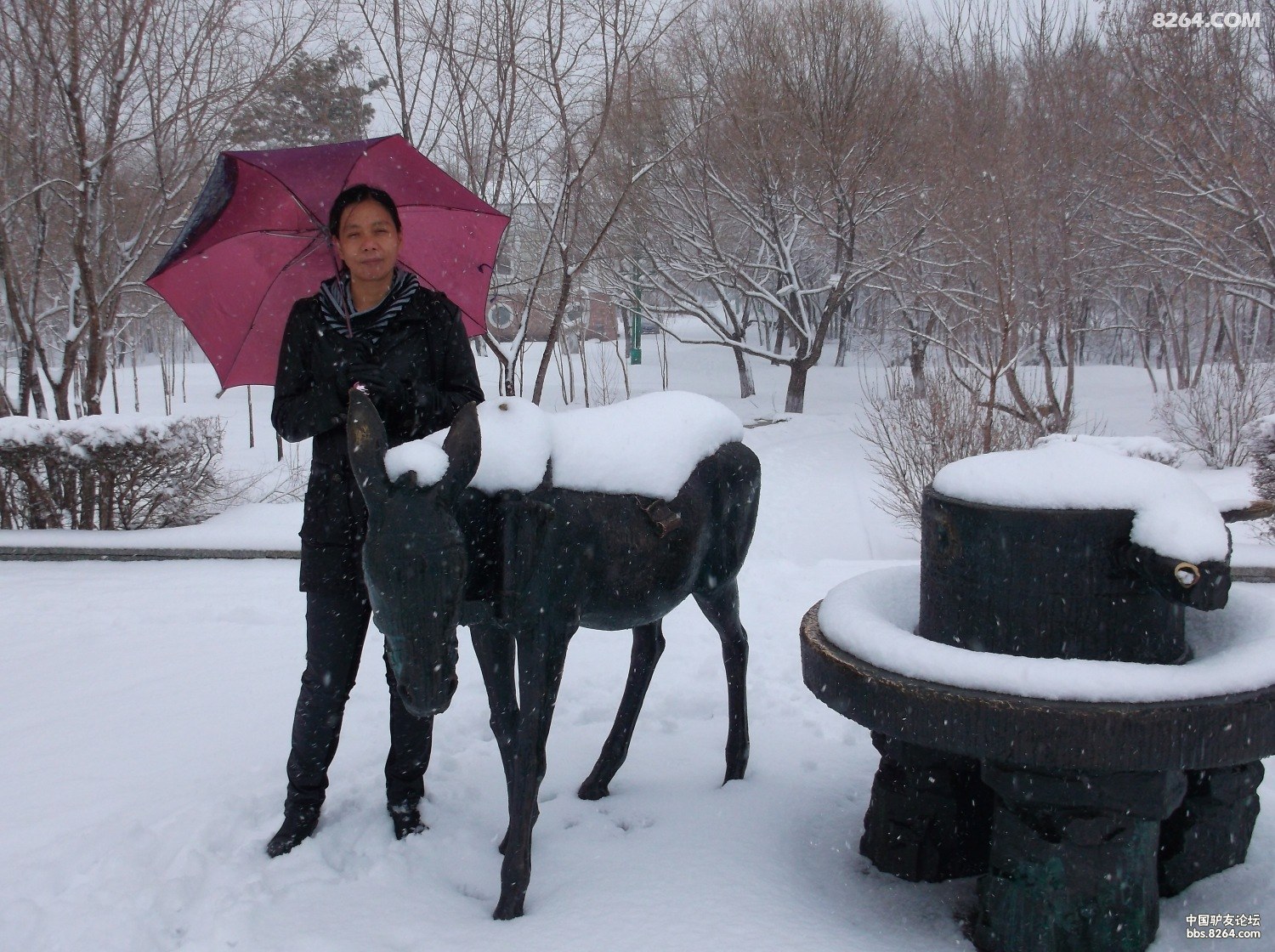 2013.04.14号黑河江边踏雪 - 第1页