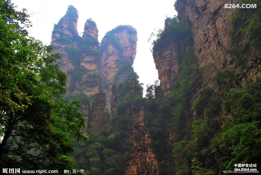 2013年四月清明节去《湖南张家界欣赏峰林之