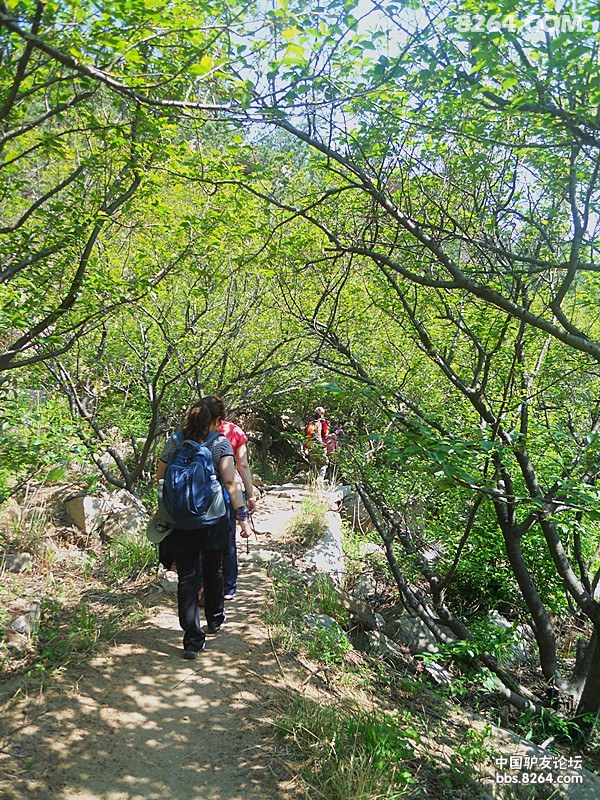 你在,恒古不变。不在,风景依旧