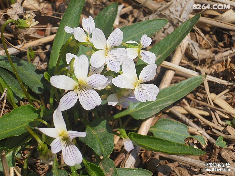 你在,恒古不变。不在,风景依旧