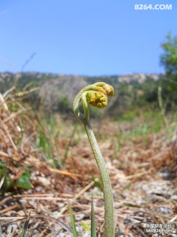 你在,恒古不变。不在,风景依旧