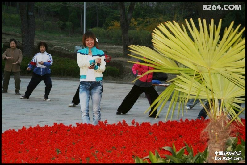 5月7日丹东球迷协会清风徒步夜徒第136期作业