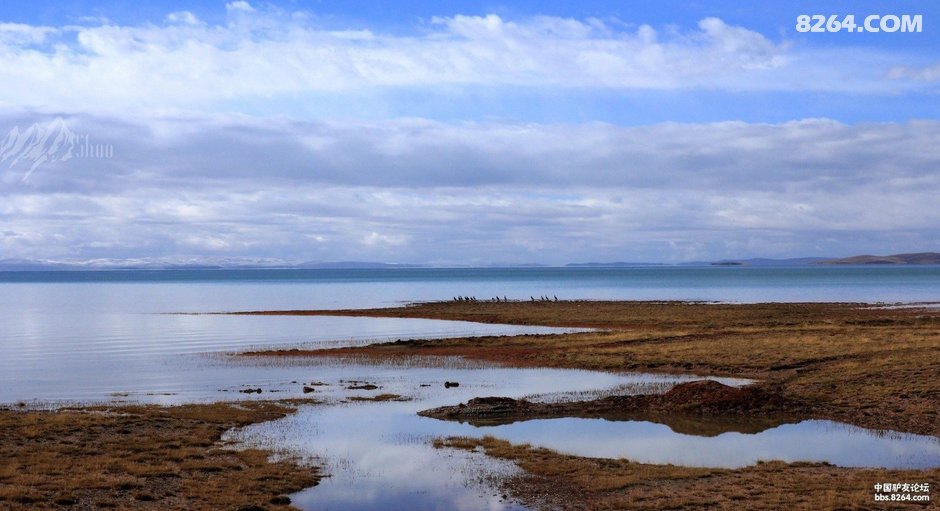 [Shoo]难忘的藏域东北,青川甘青大环线(美妙