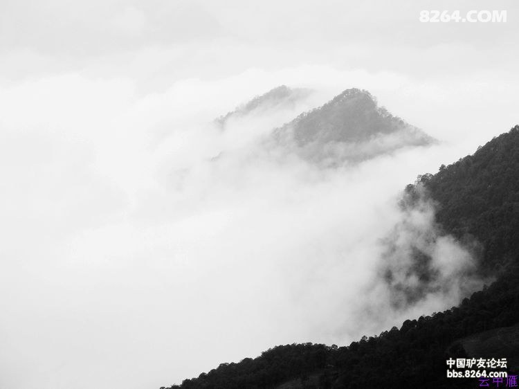 烟雨迷蒙山林拾语