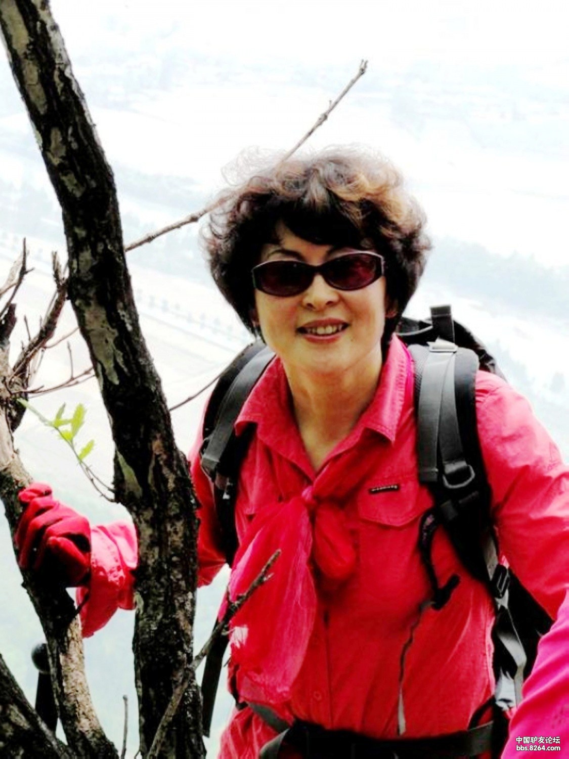 8264<em>丹东</em>版<em>凤城</em>楼山登山赏花(都是<em>美女</em>,几乎看