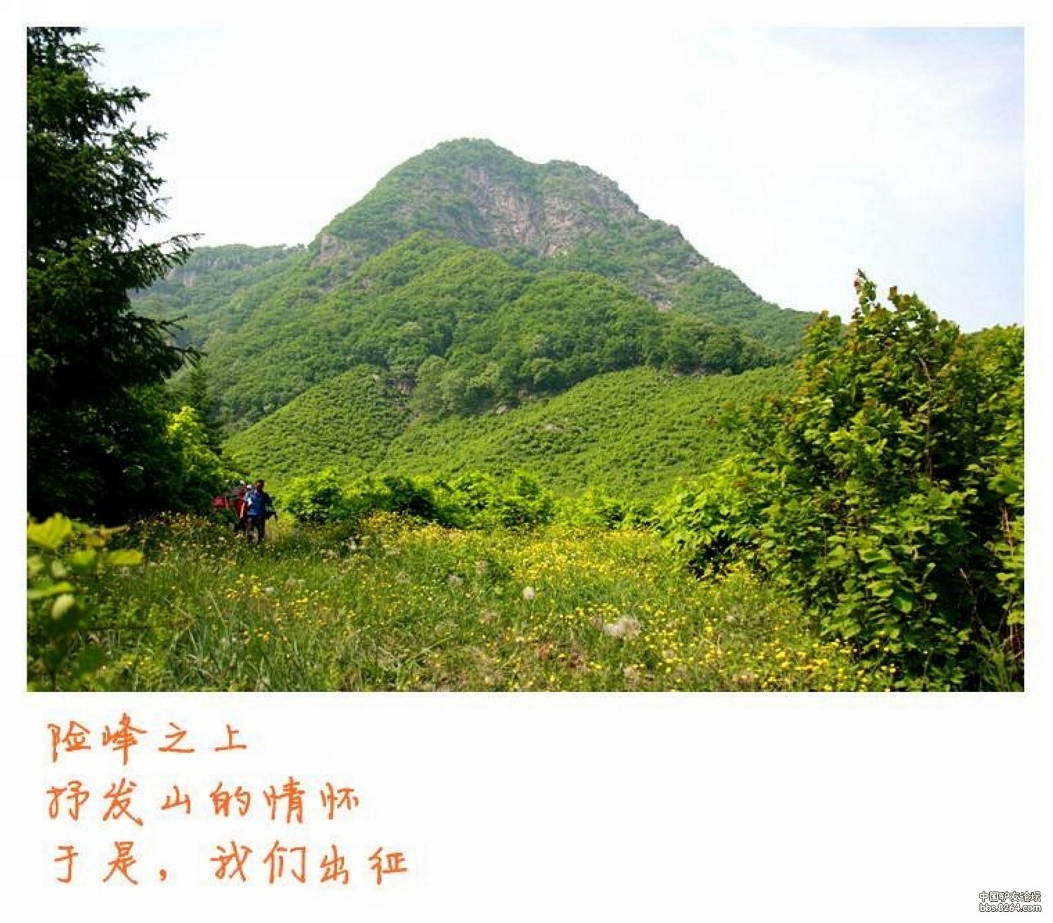 8264<em>丹东</em>版<em>凤城</em>楼山登山赏花(都是<em>美女</em>,几乎看