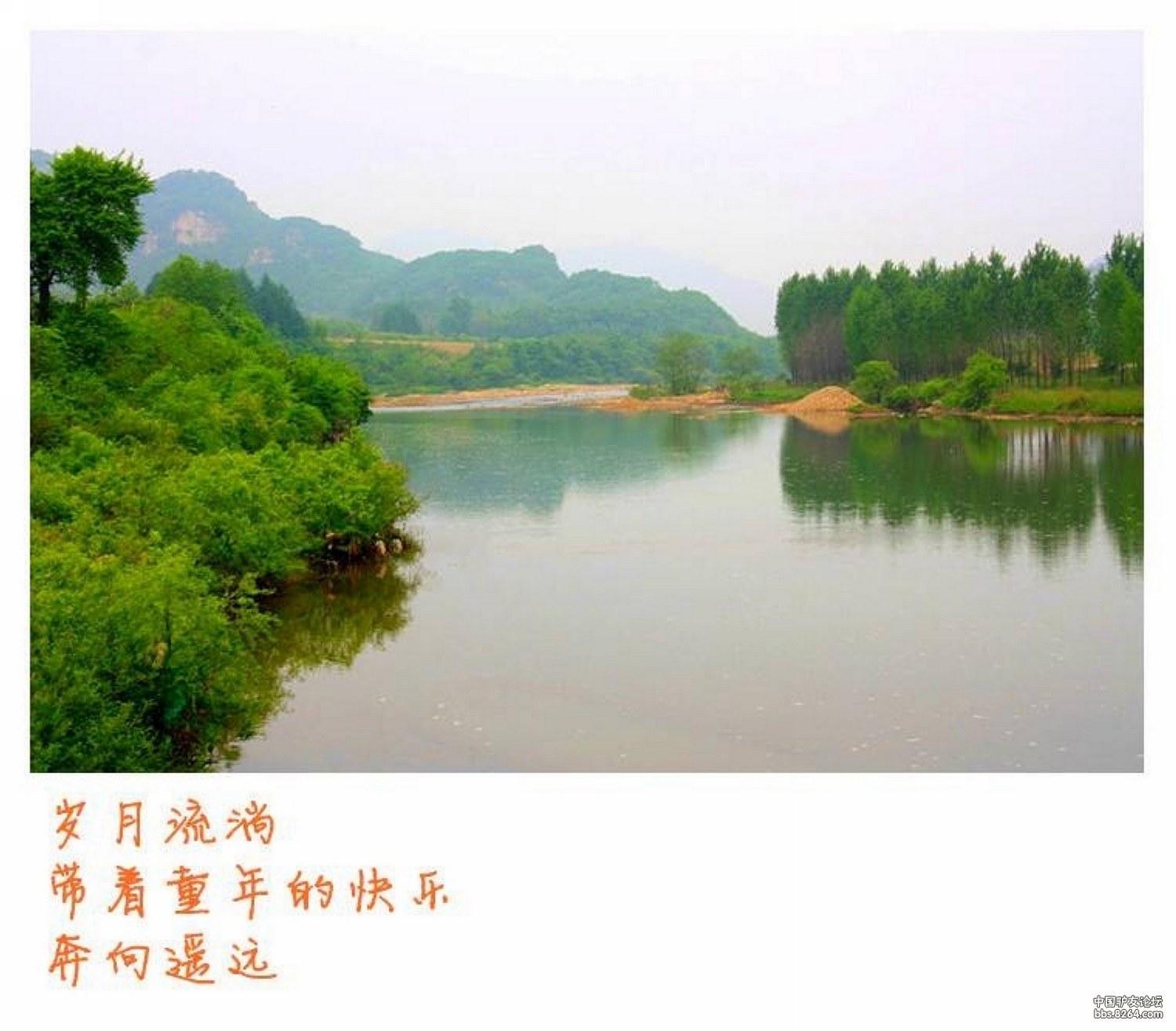 8264<em>丹东</em>版<em>凤城</em>楼山登山赏花(都是<em>美女</em>,几乎看