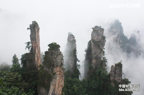 2013年四月清明节去《湖南张家界欣赏峰林之