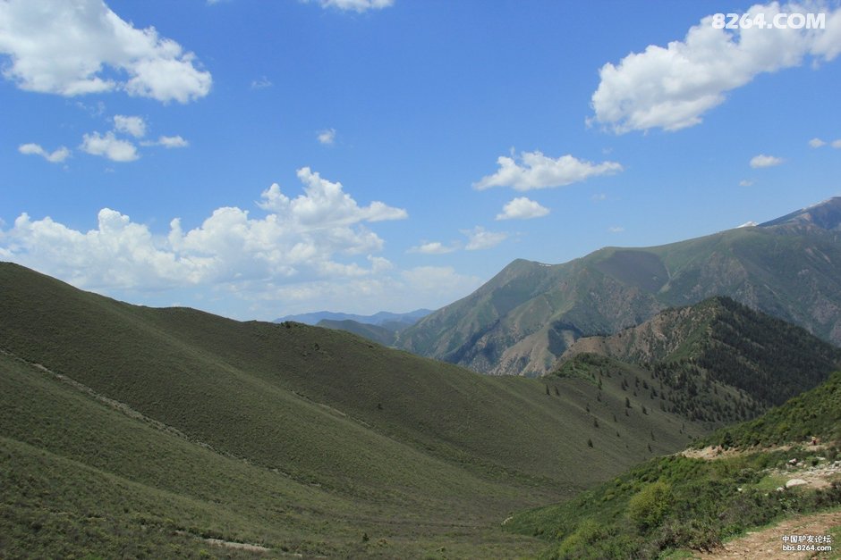 挡不住的疯情,抵不住的诱惑-八渡溪水八出祁山