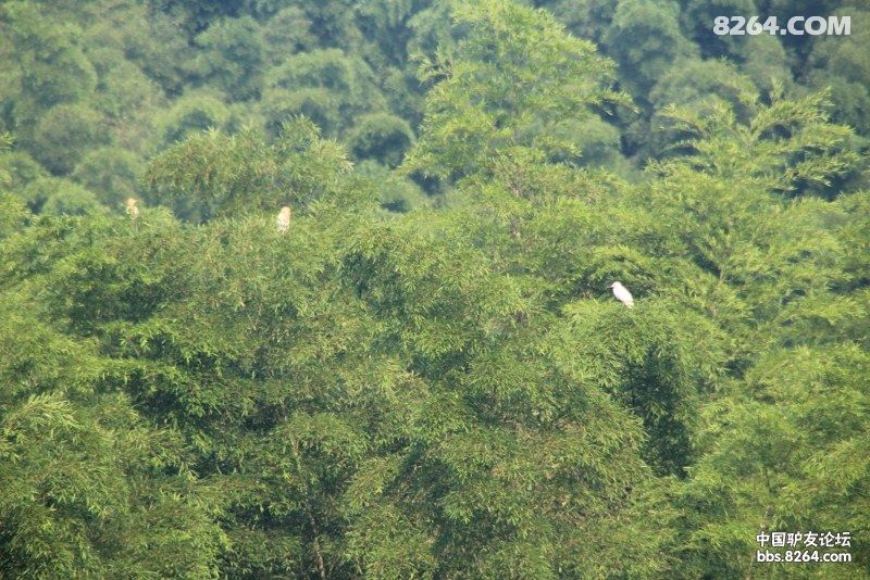 7月12日-7月14日十二勇士溯溪穿越原生态金寨
