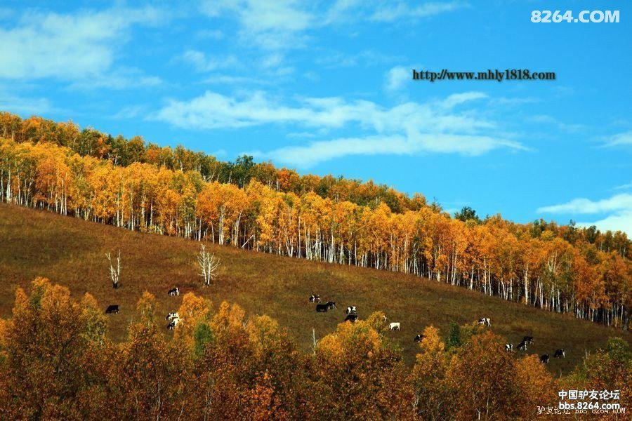 2013年国庆假期一路向北,寻找最美的秋季风景