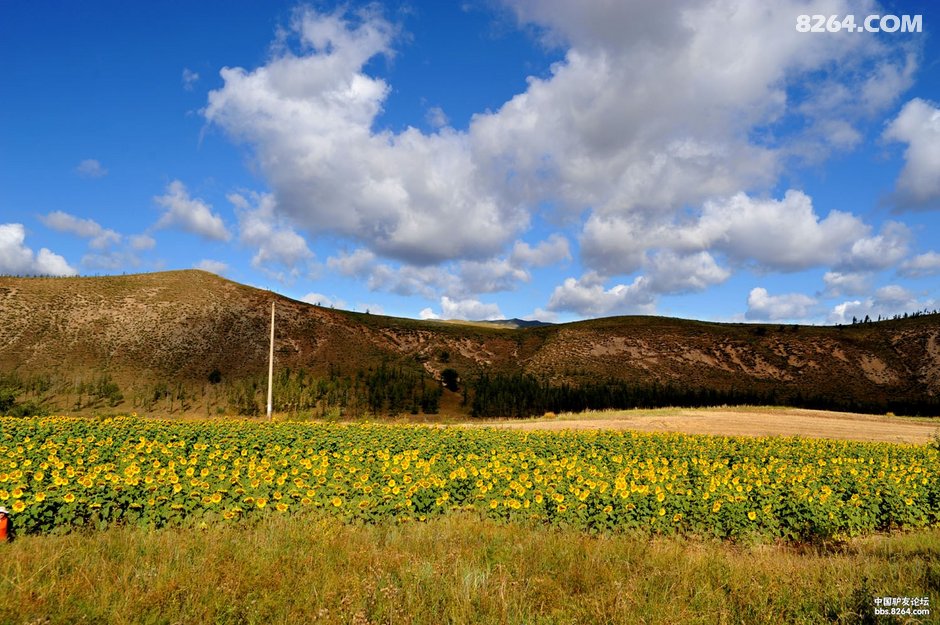 一路向北,4534KM,大兔子阿尔山追秋!(完稿)