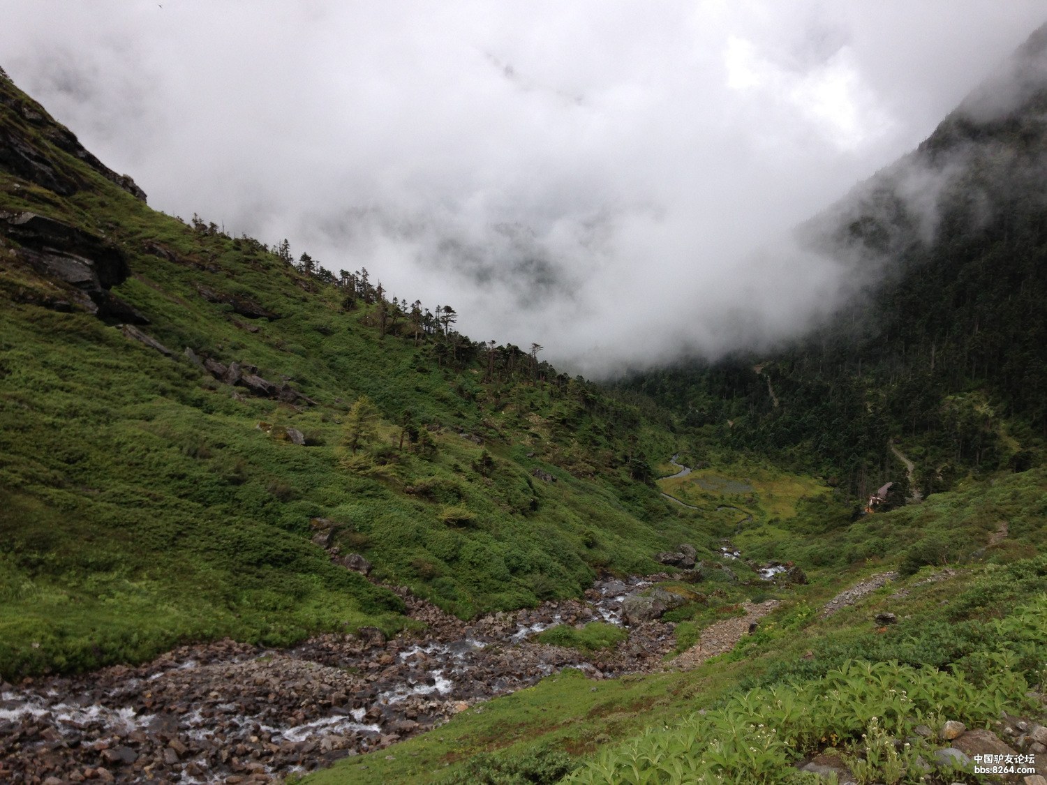 走墨脱的女人 - 西藏|墨脱游记攻略 - 8264.com