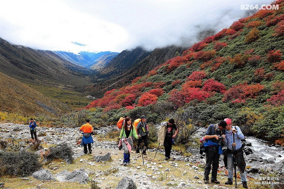 223044a2j7at3xc8csusvh.jpg!t3w825h0