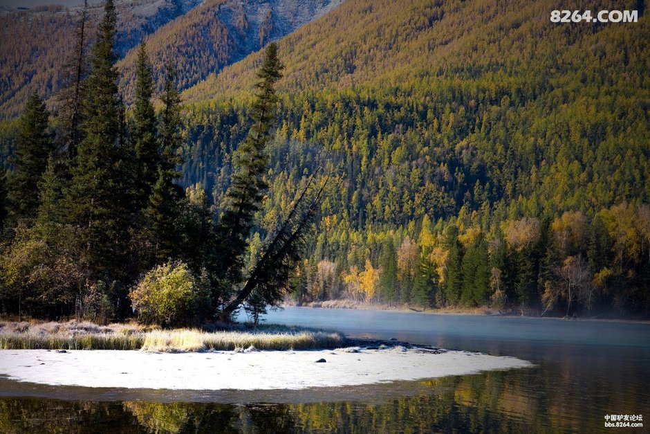 喀纳斯秋天的神话