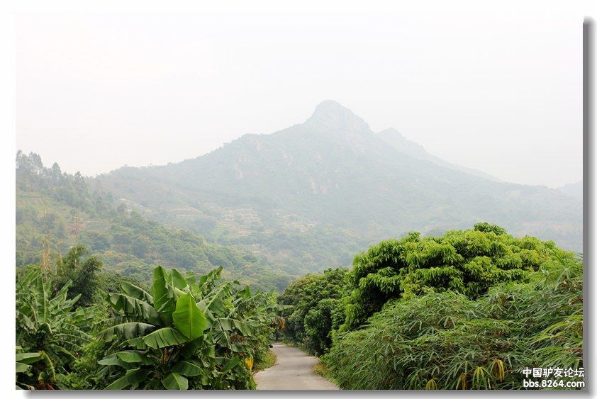 国庆登神湾丫髻山逛火龙果菠萝园 - 广东 - 826