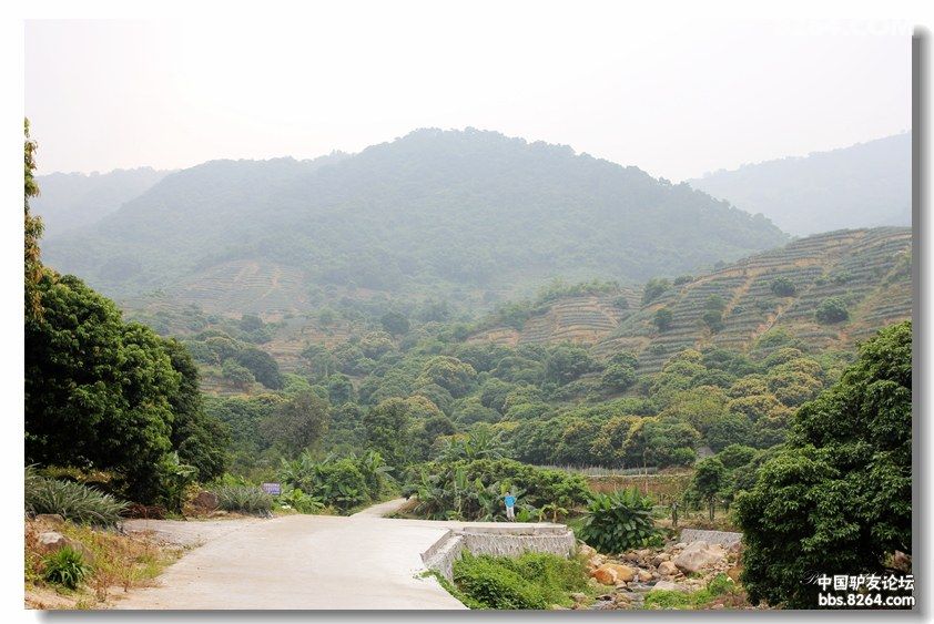 国庆登神湾丫髻山逛火龙果菠萝园 - 广东 - 826
