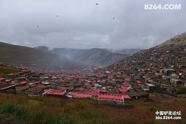 色达朝圣之旅,看天葬,听佛经,和小喇嘛交朋友,一