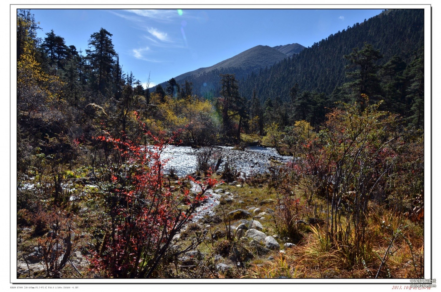 翘首三年终梦圆--记 念青唐古拉山 鲁朗-巴松错
