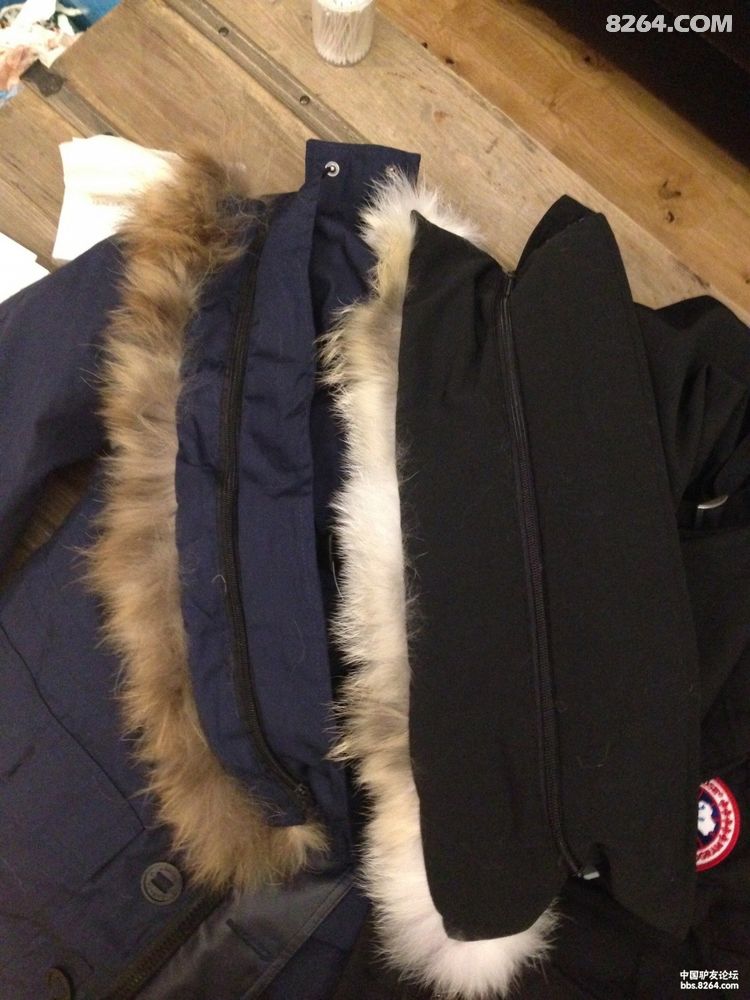加拿大鹅canada goose羽绒服真假鉴别(实物多