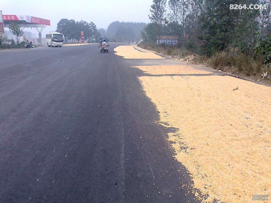 沿路向西,商丘骑行洛阳