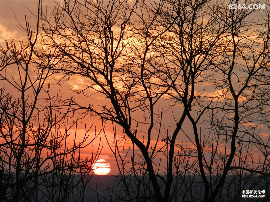 甘肃印象:庆阳宁县长庆桥镇黄土塬 野王村冬貌