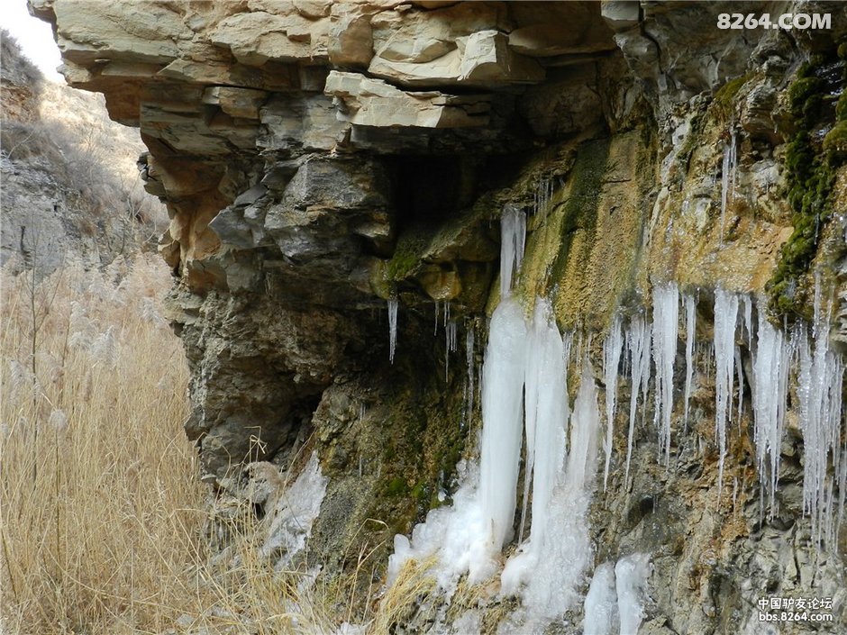 甘肃印象:庆阳宁县长庆桥镇黄土塬 野王村冬貌