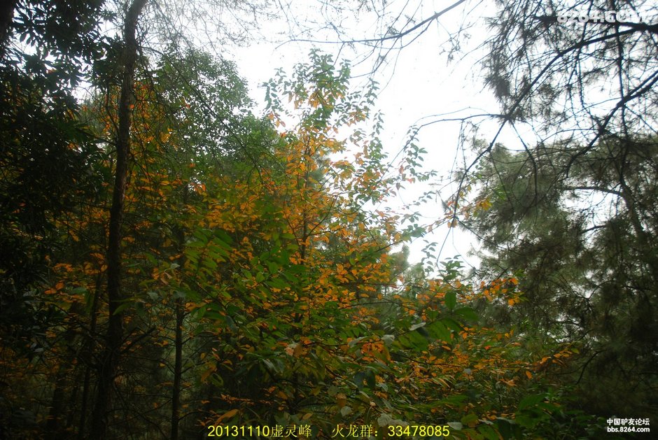 重庆:南山第一险,慢摇虚灵峰