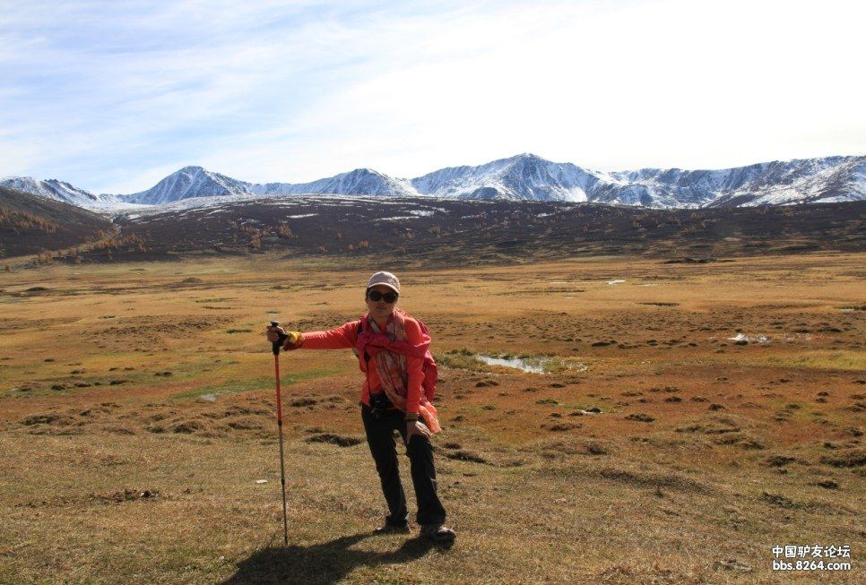 12355598h246spswn0hv8n.jpg!wap