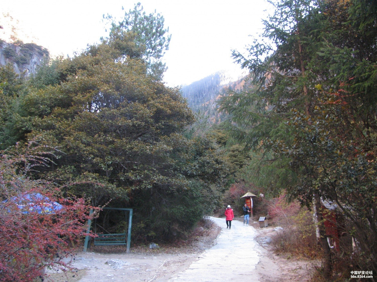 初识西藏,惊鸿一瞥--晕车王的拉萨林芝日喀则深