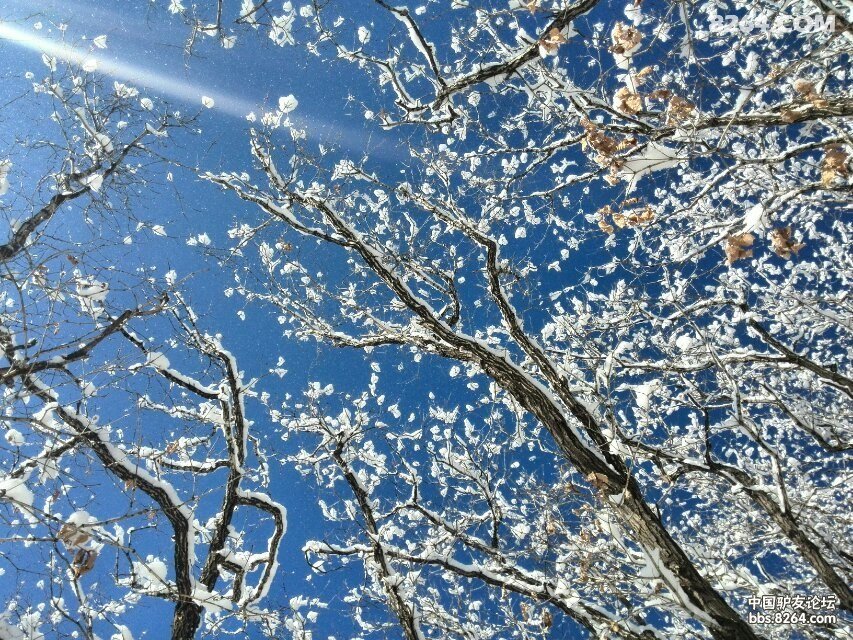 忽如一夜春风来,千树万树梨花开---千山27峰连穿
