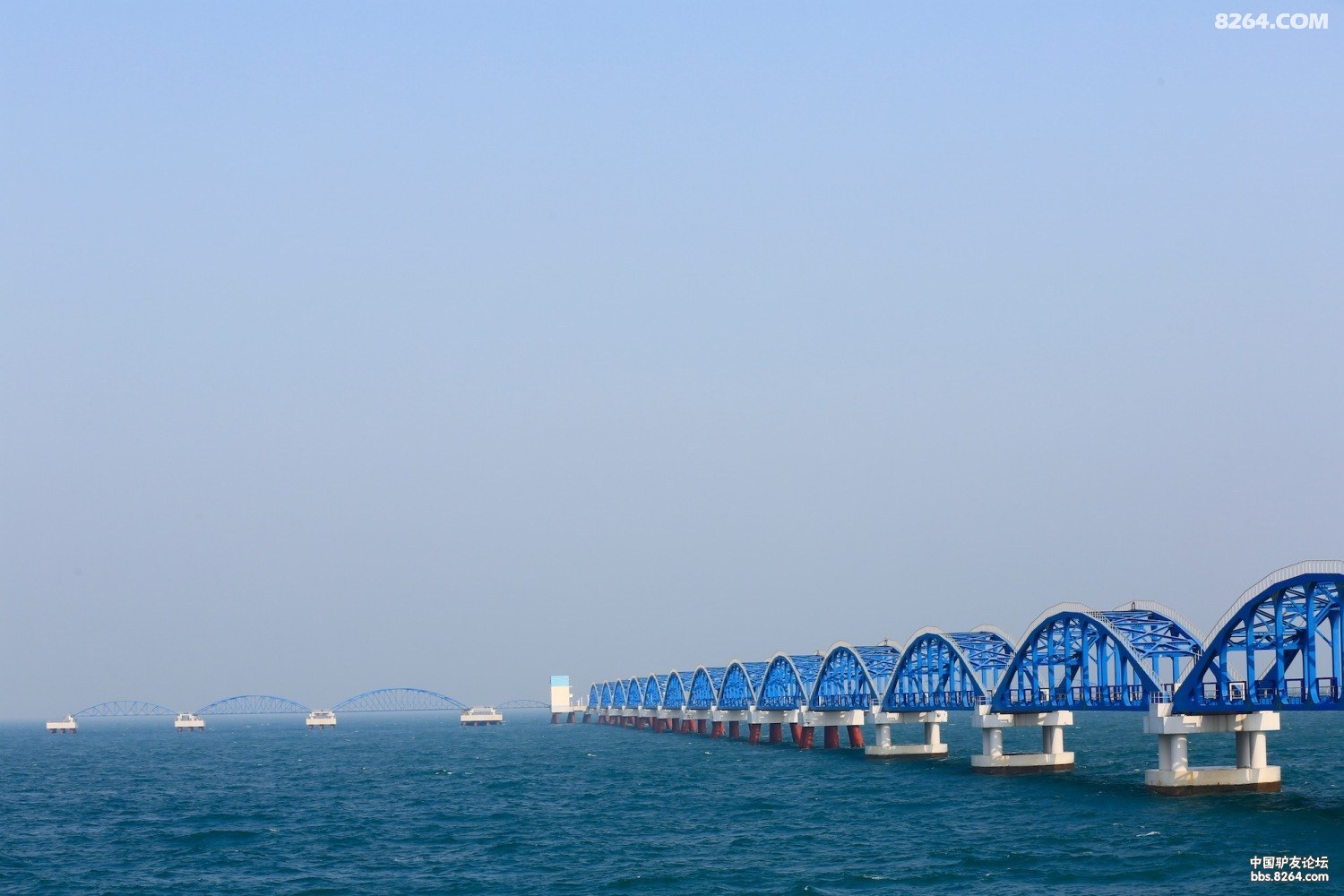 在涠洲岛中石化原油码头钓大鱼 - 第1页