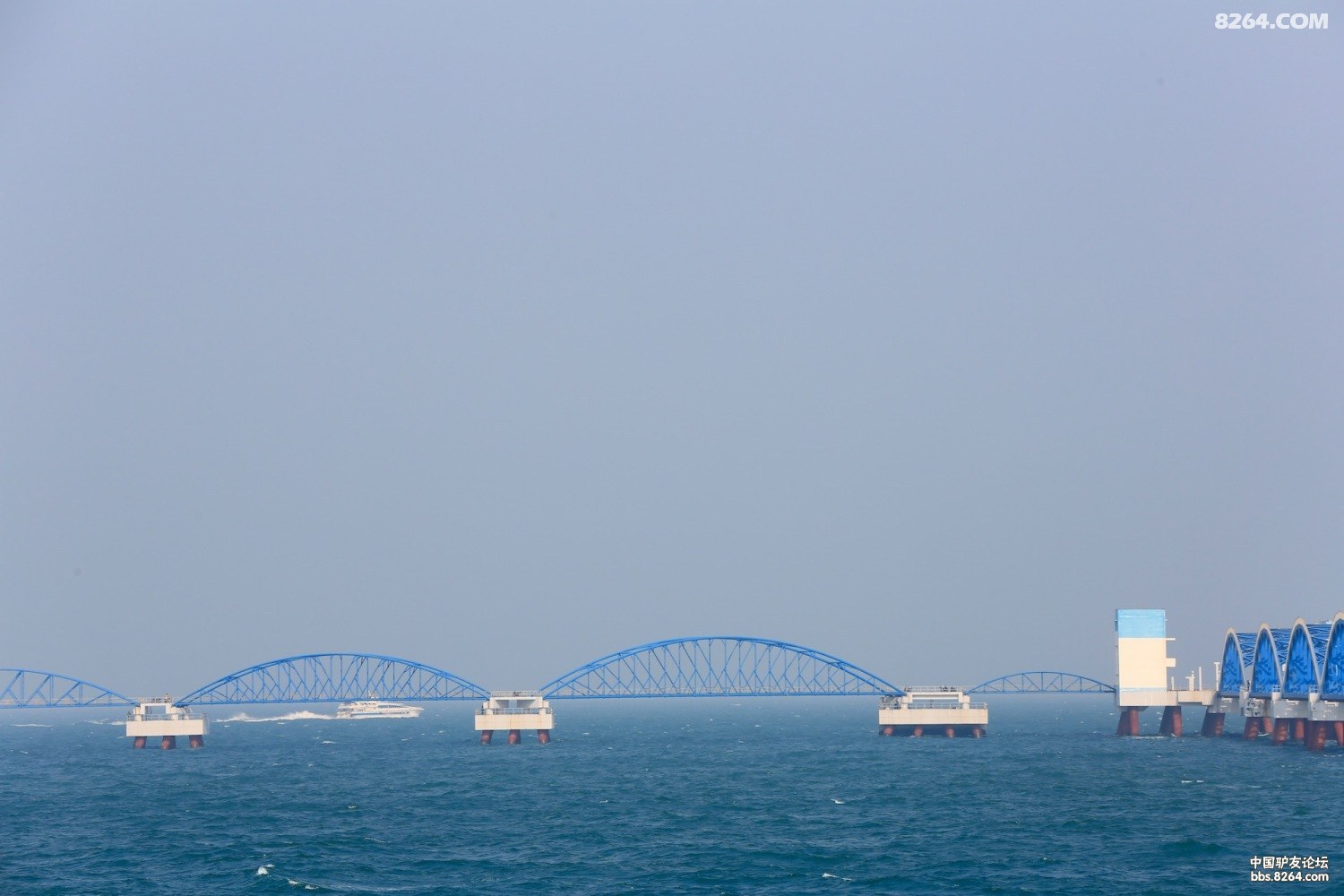 在涠洲岛中石化原油码头钓大鱼 - 第1页