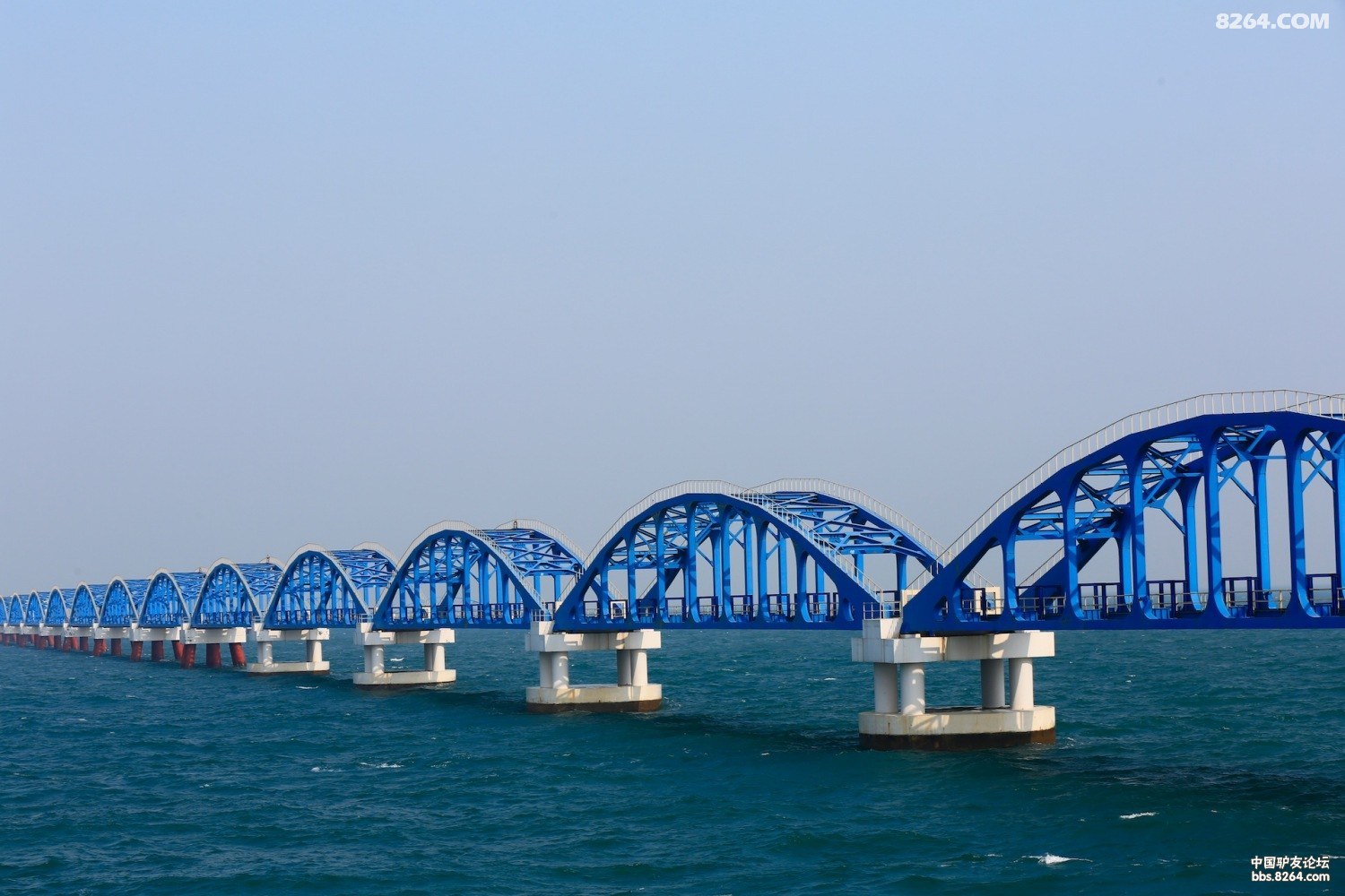 在涠洲岛中石化原油码头钓大鱼 - 第1页