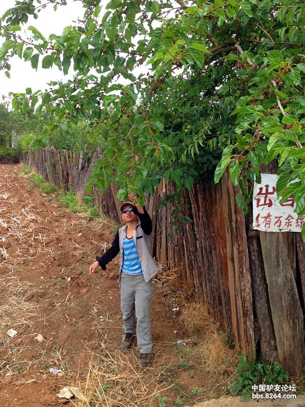4个月,我的背包客生活 踩在云上的那些天--云南