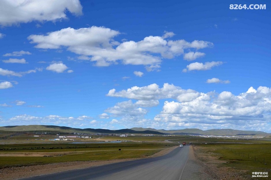 一路随行,我和流浪狗的骑行故事(最后的奔袭:五